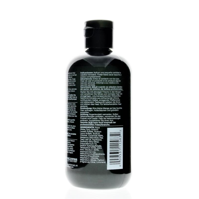 Paul Mitchell Tea Tree Lemon Sage  Shampoo 10.14oz
