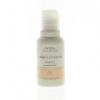 Aveda Color Conserve Shampoo 1.7oz