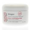 Briogeo Don't Despair Repair Deep Conditioning Mask 8oz