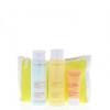 Clarins Kit - Normal/Dry Skin