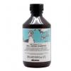 Davines Well Being Shampoo 250ml