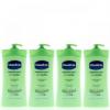 Vaseline Intensive Care Aloe Soothe Lotion 20.3oz/600ml