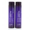 Joico Color Balance Purple Shampoo and Conditioner 10.1oz
