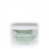 Eminence Bright Skin Overnight Correcting Cream 8.4oz/250ml Eminence Bright Skin Overnight Correcting Cream 8.4oz/250ml