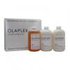 Olaplex Salon Intro Kit