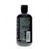 Paul Mitchell Tea Tree Lemon Sage  Shampoo 10.14oz